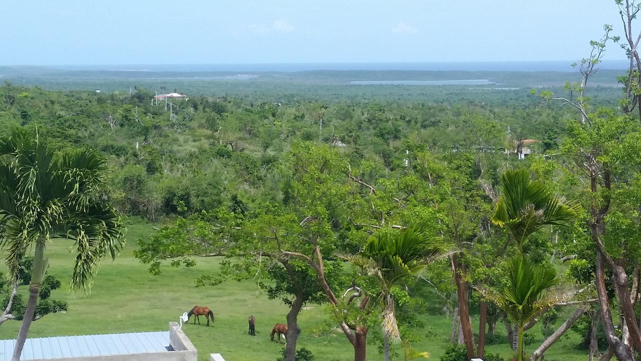 Hix Island House Hotell Vieques Eksteriør bilde