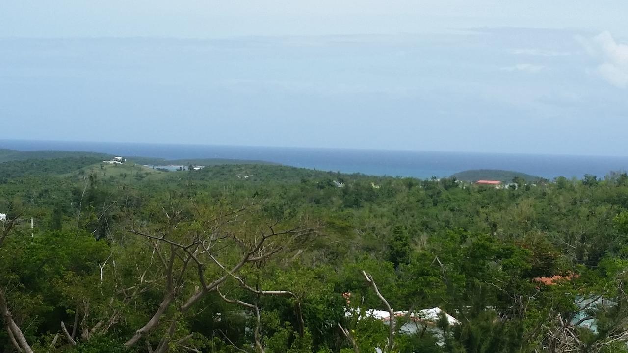 Hix Island House Hotell Vieques Eksteriør bilde